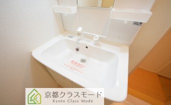 シャンプードレッサー