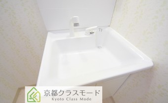 シャンプードレッサー