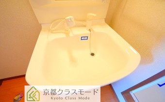 シャンプードレッサー
