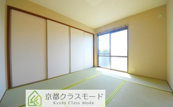 和6
