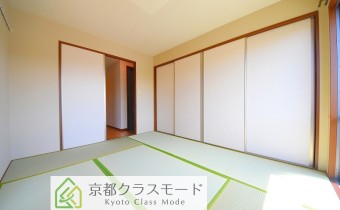 和6