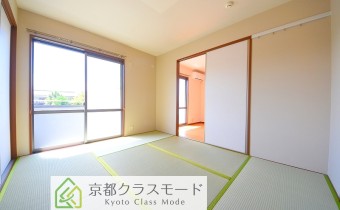和6