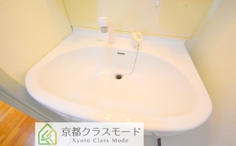 シャンプードレッサー