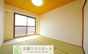 和6