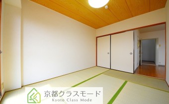 和6