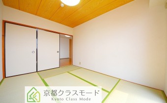 和6