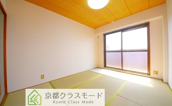 和6