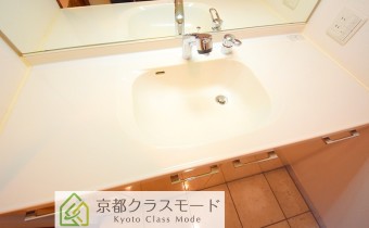 シャンプードレッサー