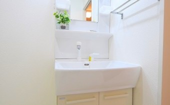 シャンプードレッサー