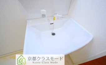 シャンプードレッサー