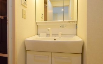 シャンプードレッサー
