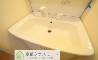 シャンプードレッサー