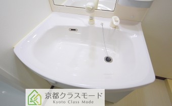 シャンプードレッサー