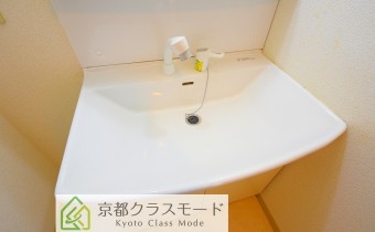 シャンプードレッサー