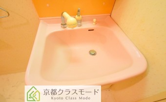 シャンプードレッサー