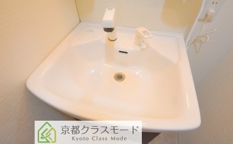 シャンプードレッサー