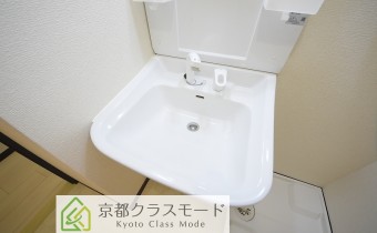 シャンプードレッサー