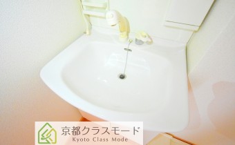 シャンプードレッサー