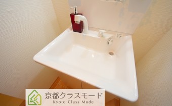シャンプードレッサー