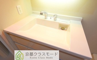 シャンプードレッサー