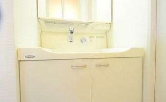 シャンプードレッサー