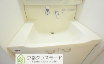 シャンプードレッサー
