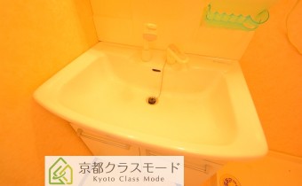 シャンプードレッサー