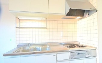 3口ガスシステムキッチン
