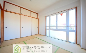 和6