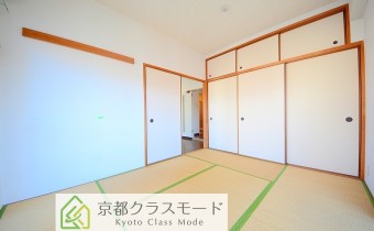 和6