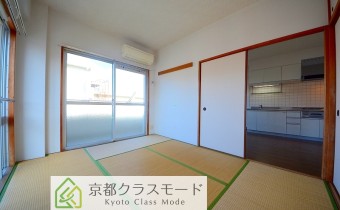 和6