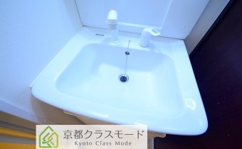 シャンプードレッサー