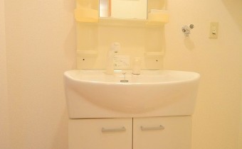 シャンプードレッサー