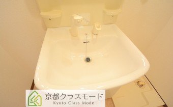 シャンプードレッサー