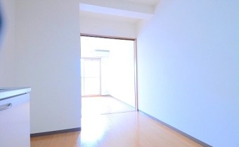 DK6.5