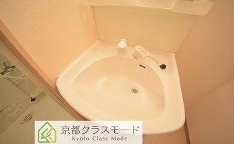 シャンプードレッサー