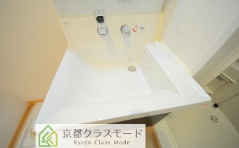シャンプードレッサー