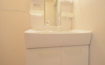 シャンプードレッサー