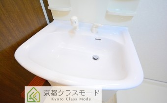 シャンプードレッサー