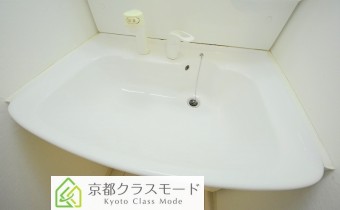 シャンプードレッサー