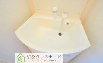シャンプードレッサー