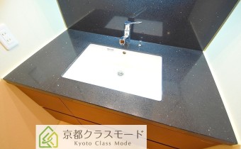 シャンプードレッサー