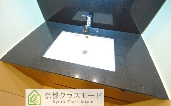 シャンプードレッサー