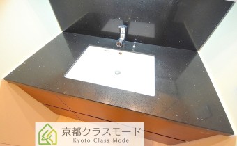 シャンプードレッサー