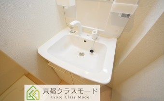 シャンプードレッサー