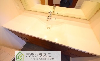 シャンプードレッサー