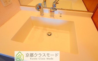 シャンプードレッサー