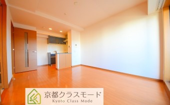 LDK10.5帖・別アングル