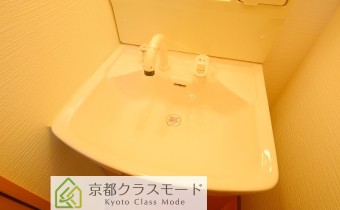 シャンプードレッサー