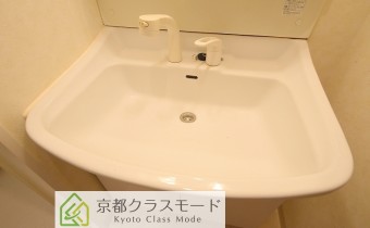 シャンプードレッサー